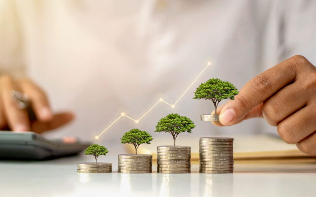 Close-up of a man stacking coins with trees growing out of them. A visual representation of investment growth.