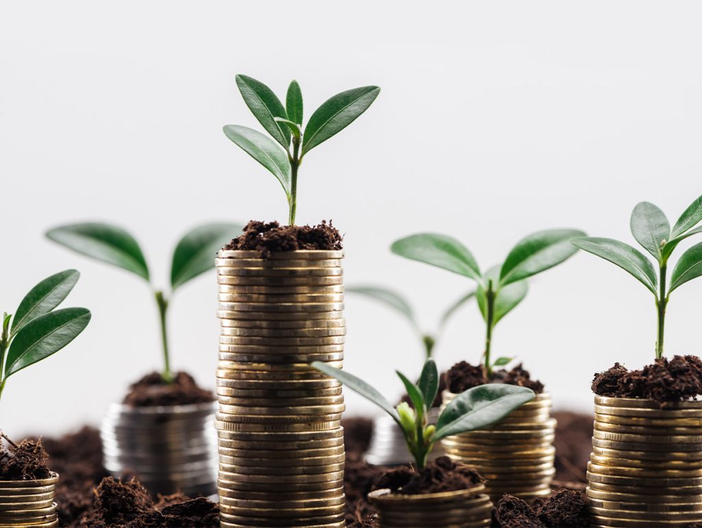 Plants growing on money