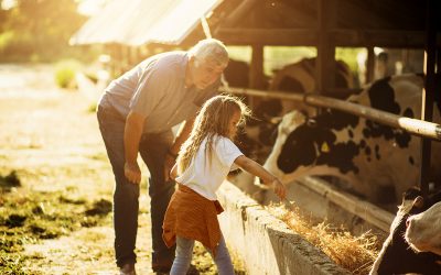 A Lasting Legacy: How Life Insurance Can Preserve Your Family’s Wealth