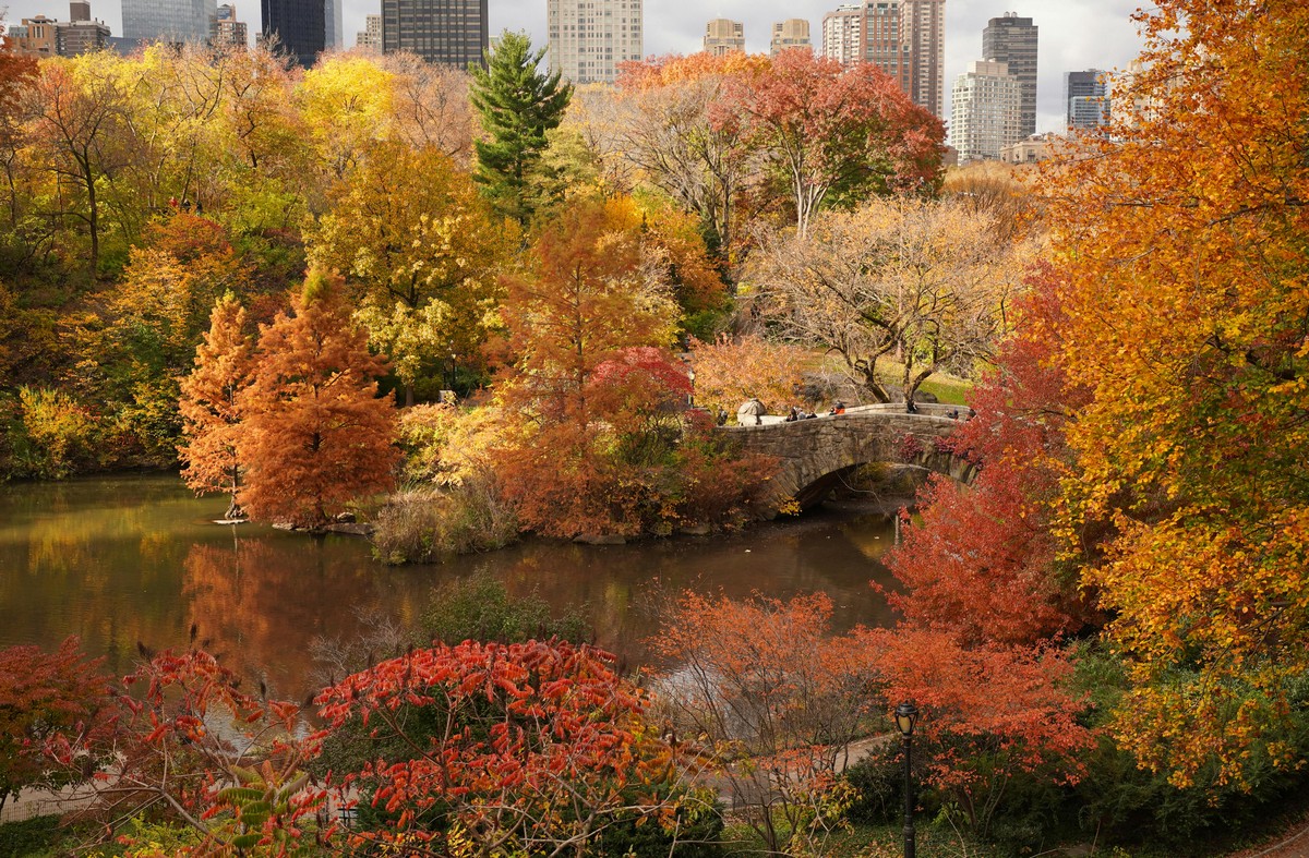 oct-2025-review park in the city in the fall