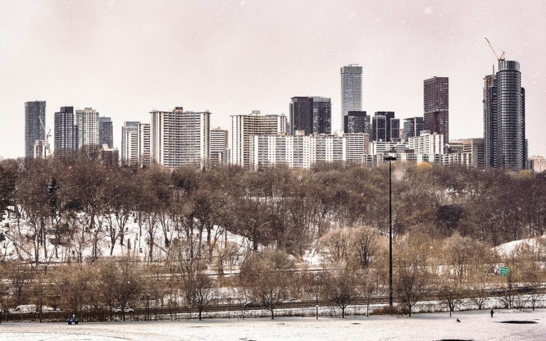 Monthly Market Review November 2025