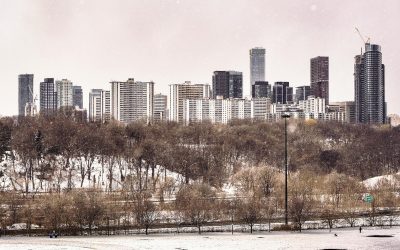 Monthly Market Review November 2025