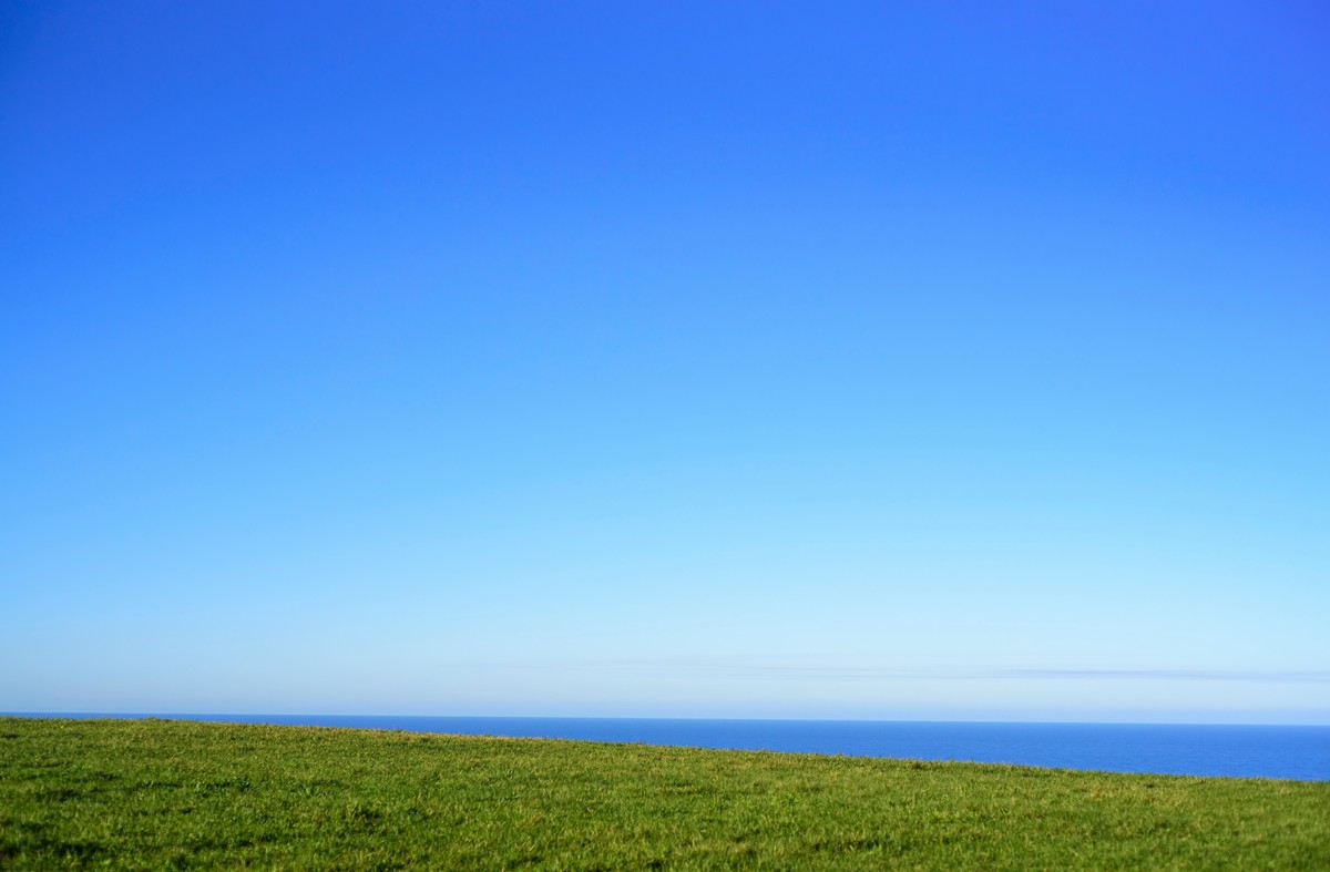grass with ocean in background on a sunny day
